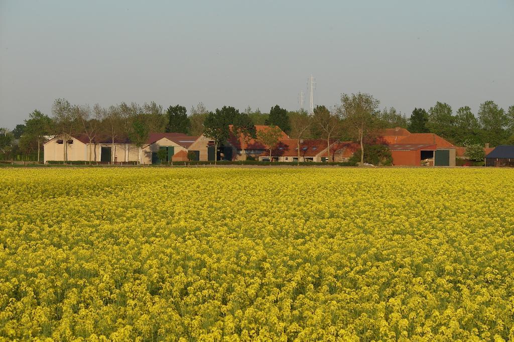Holiday Home De Colve Bruges Luaran gambar